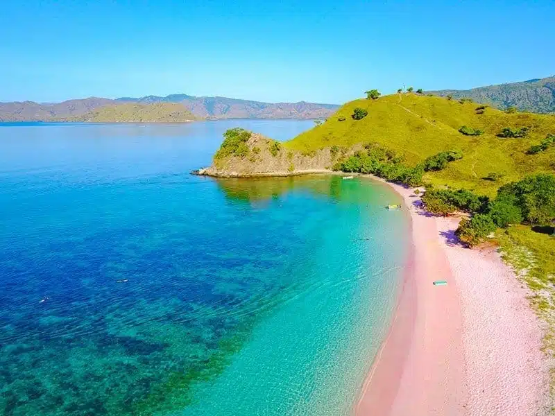 Komodo Tour 2 days 1 night Komodo Tour 2 days 1 night