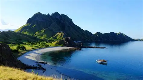komodo tour from labuan bajo