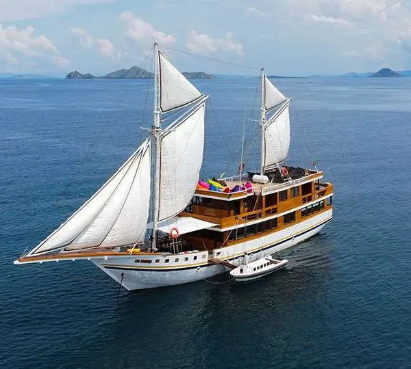 3d2n komodo tour package