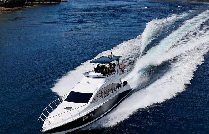 full day Komodo speedboat tour