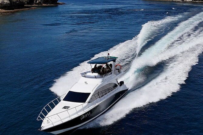 full day Komodo speedboat tour
